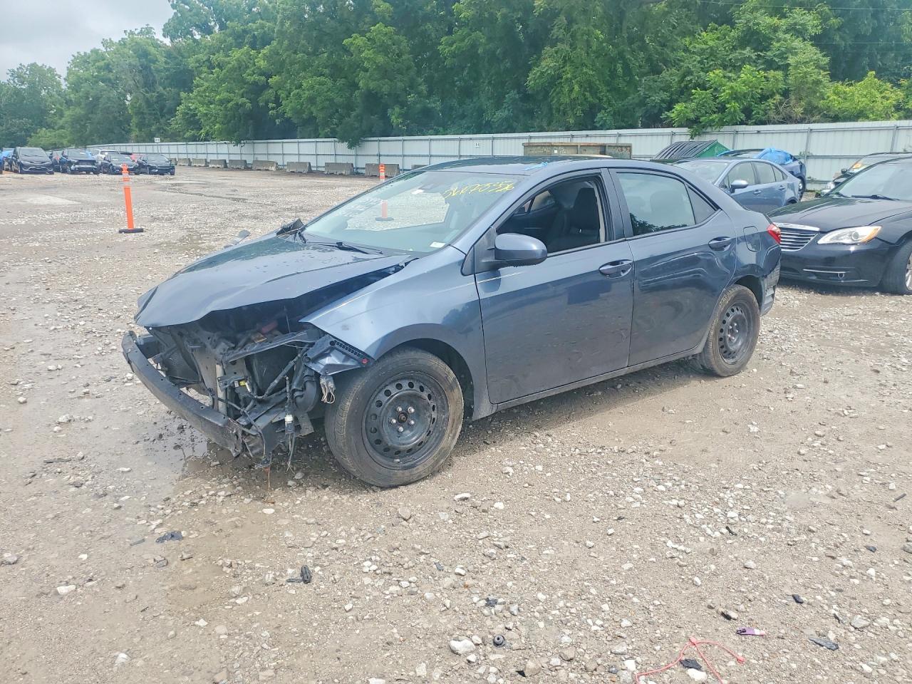 2019 TOYOTA COROLLA