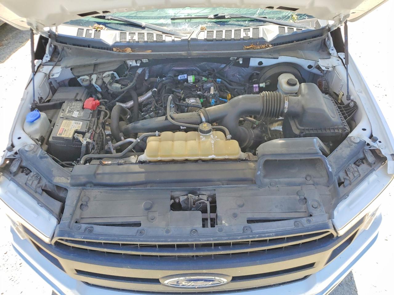 2019 FORD F150