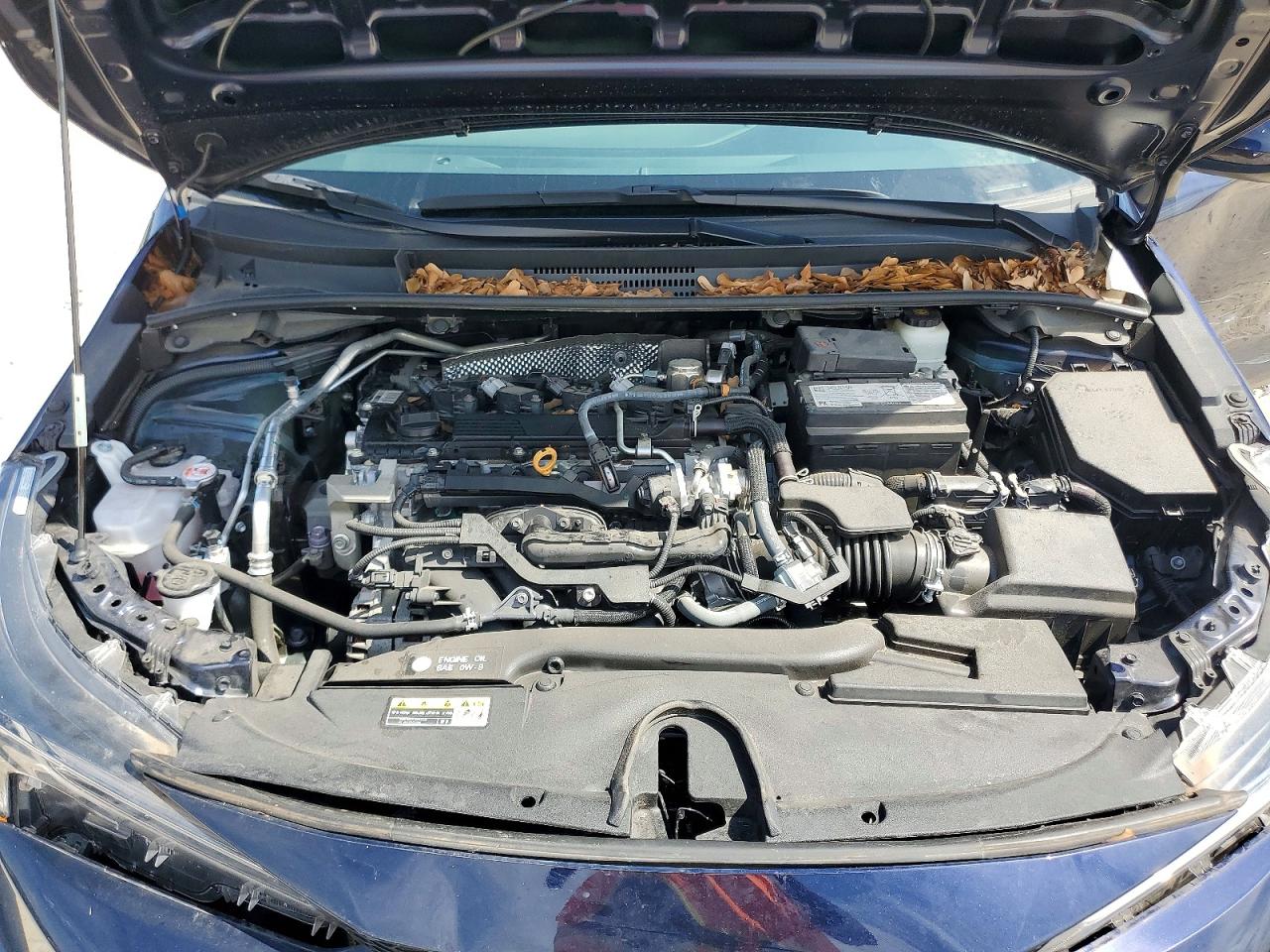 2024 TOYOTA COROLLA