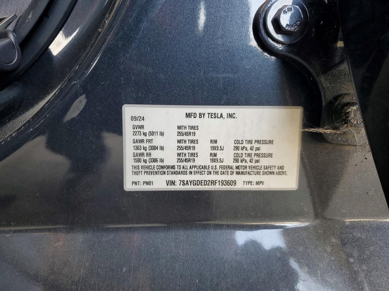 2024 TESLA MODEL Y