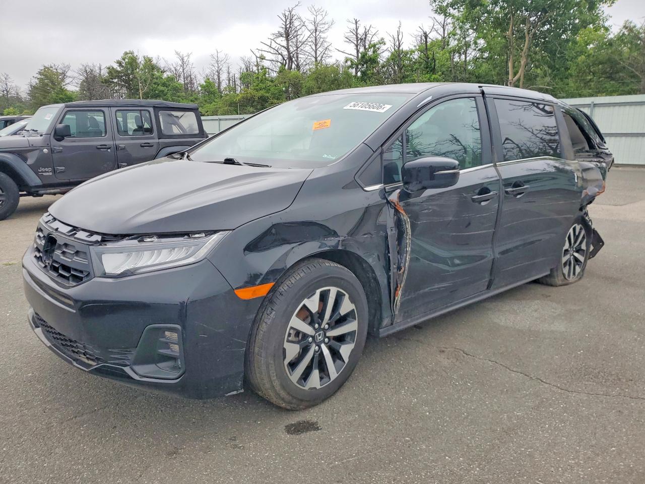 2025 HONDA All Models