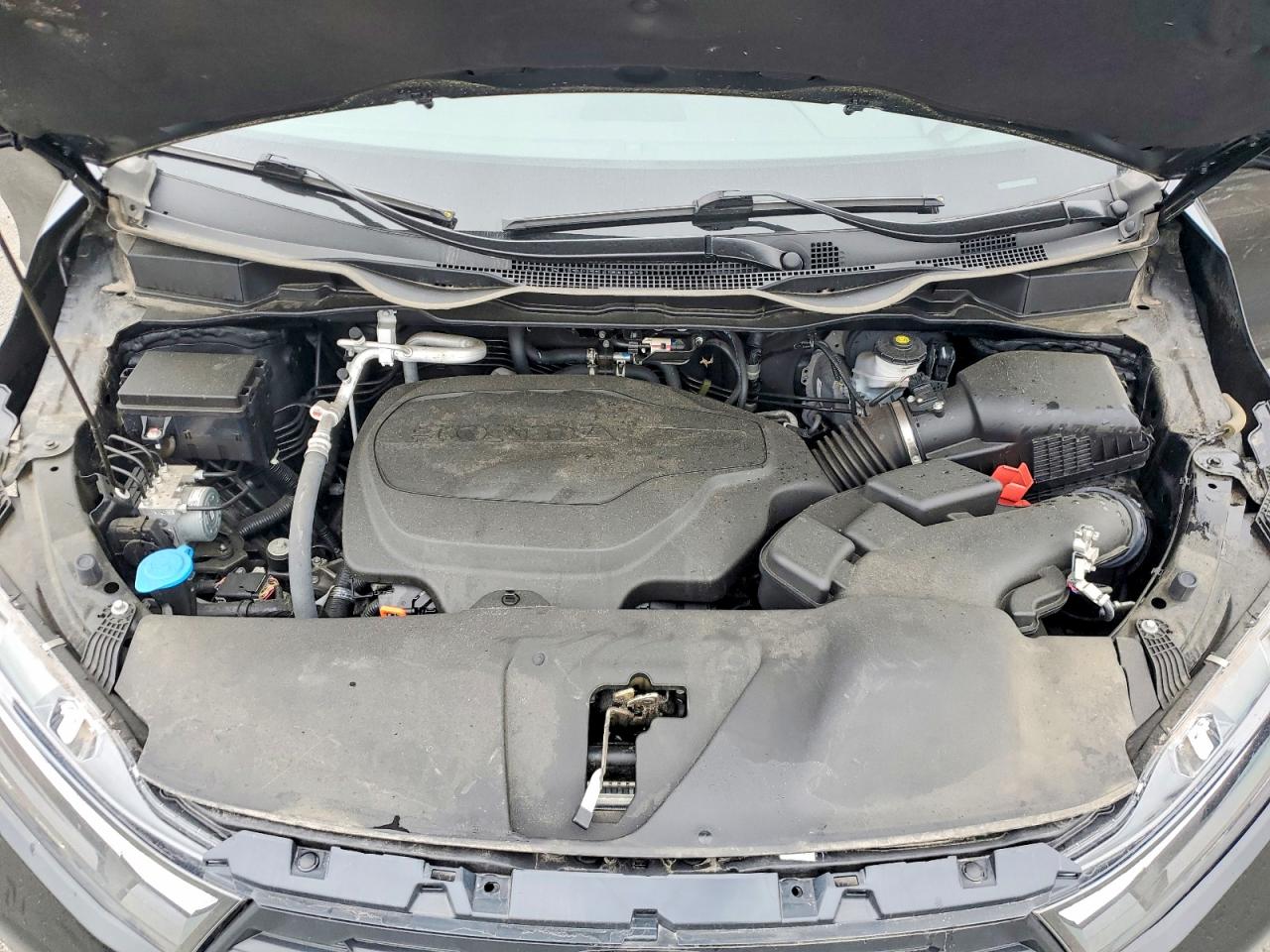 2025 HONDA All Models