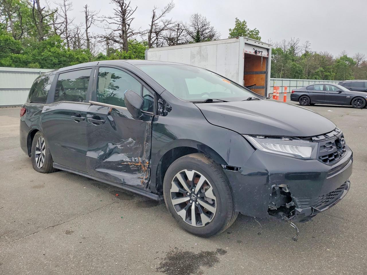 2025 HONDA All Models
