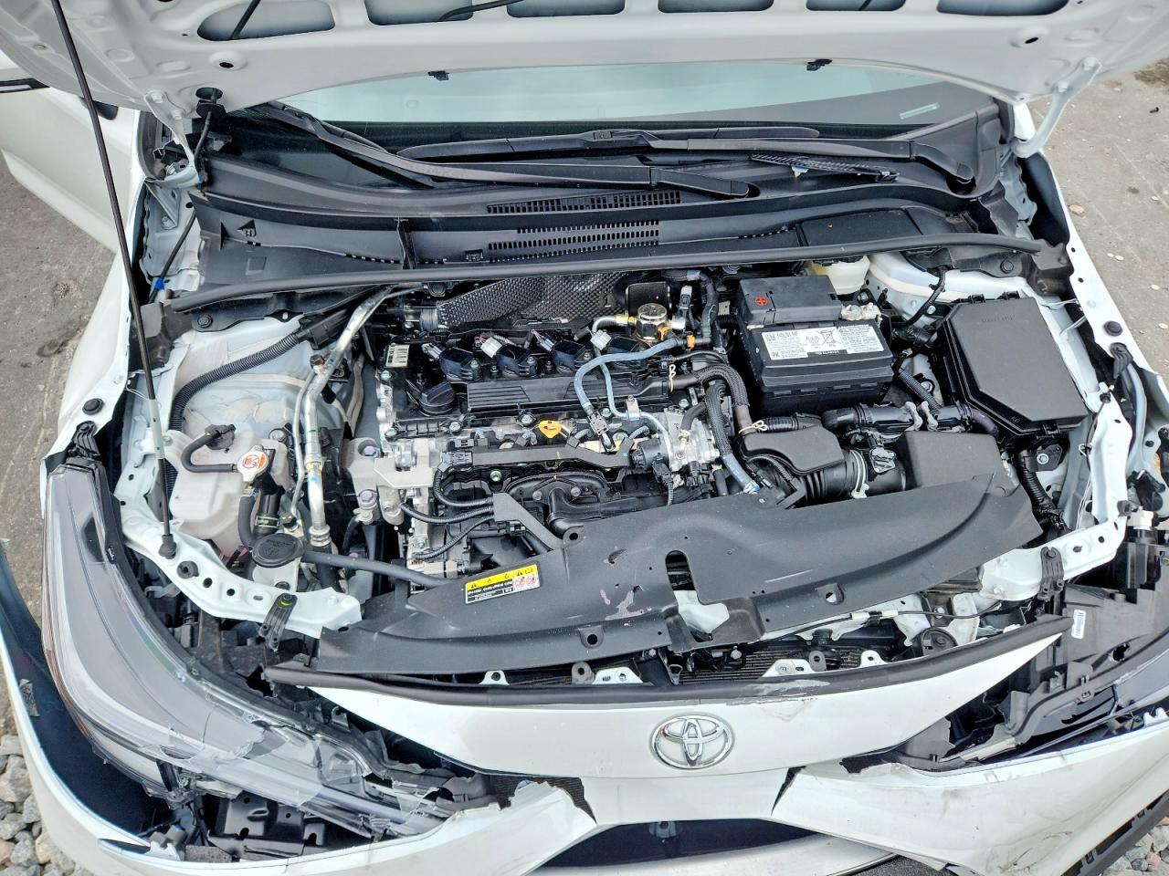 2025 TOYOTA COROLLA