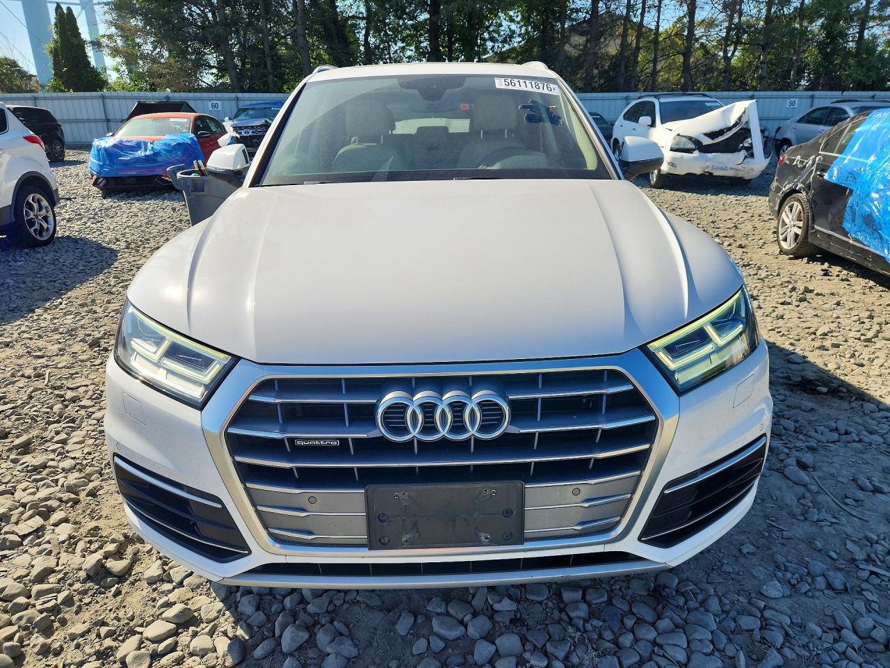 2019 AUDI Q5
