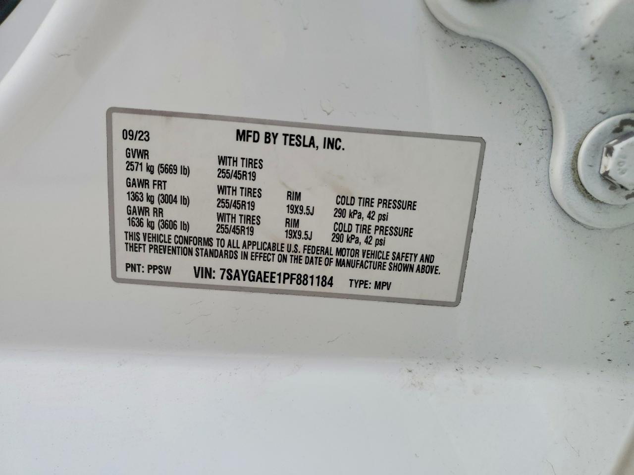 2023 TESLA MODEL Y