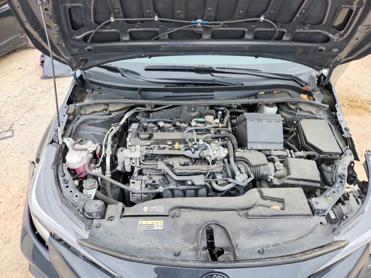 2024 TOYOTA COROLLA