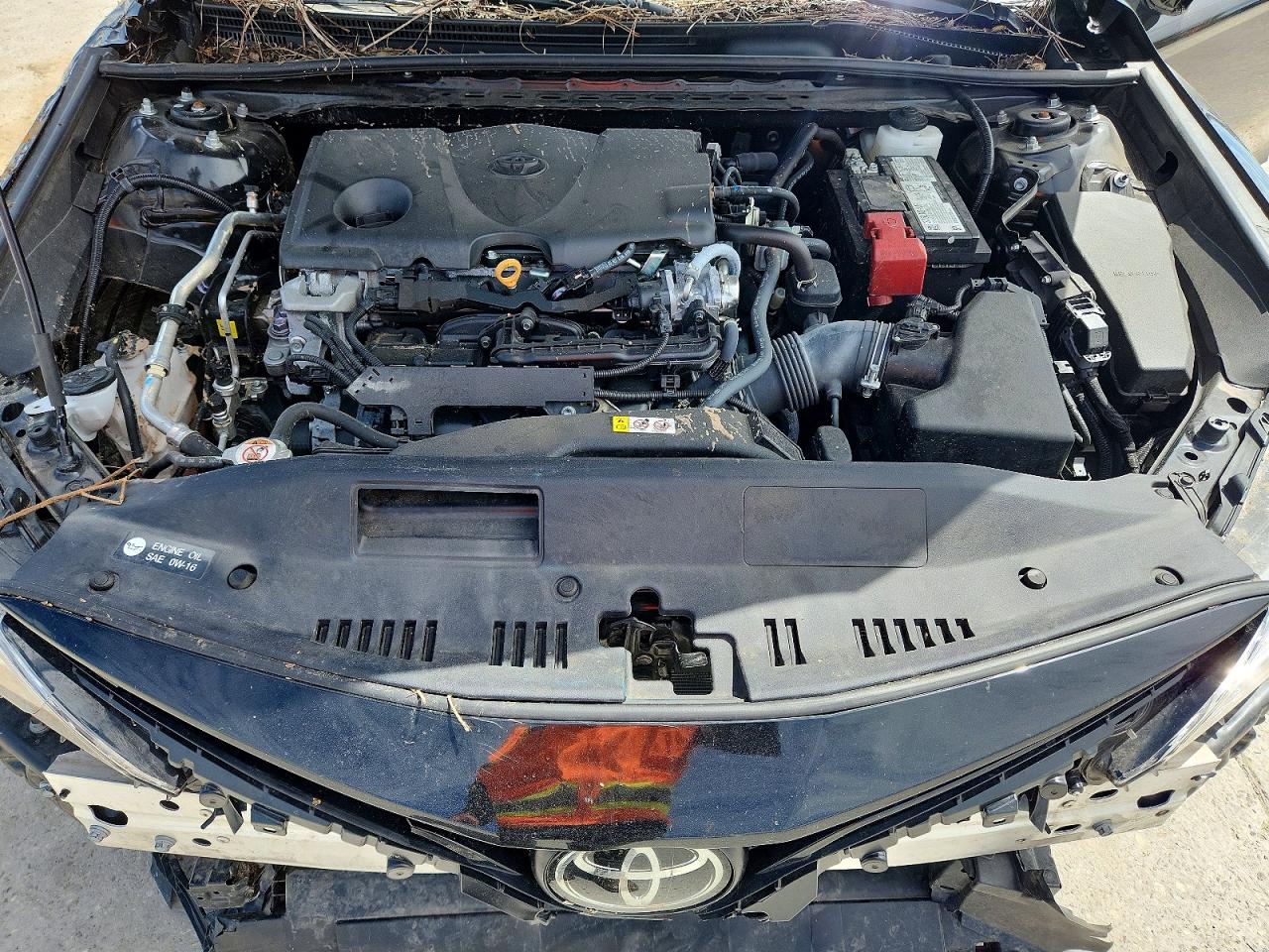 2024 TOYOTA CAMRY