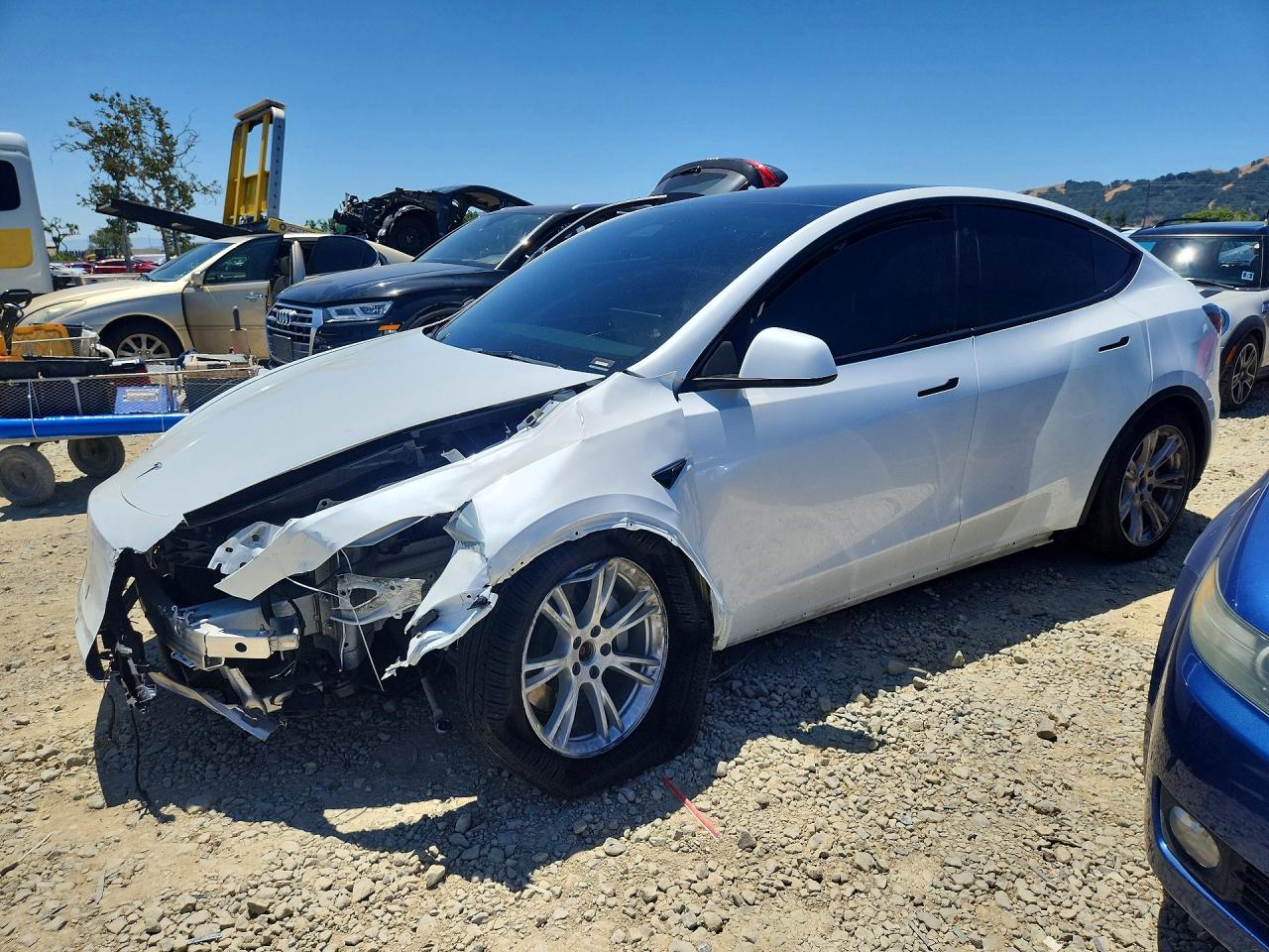 2023 TESLA MODEL Y