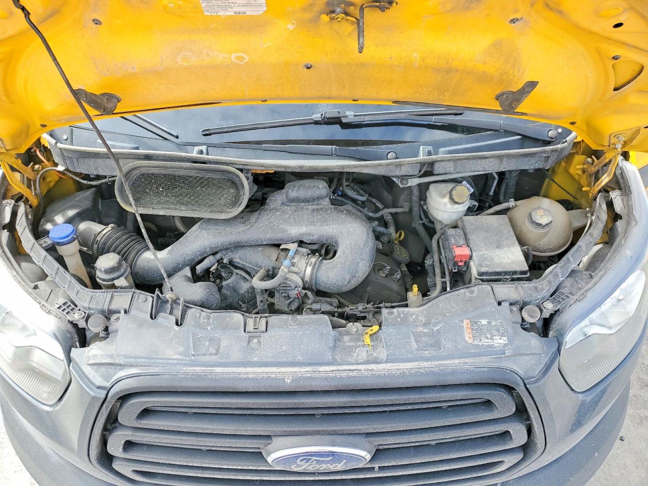2019 FORD ALL Models