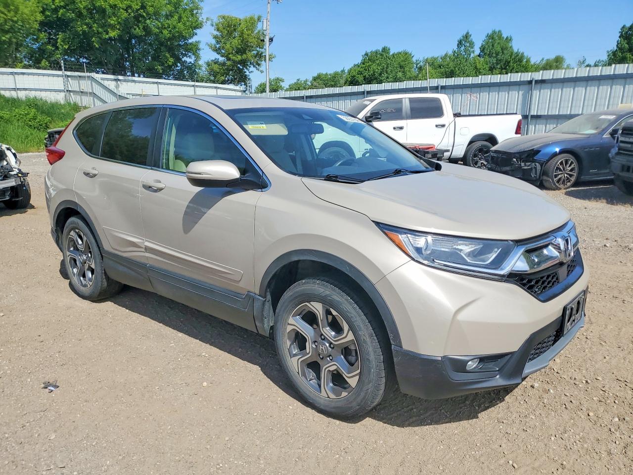 2019 HONDA CRV