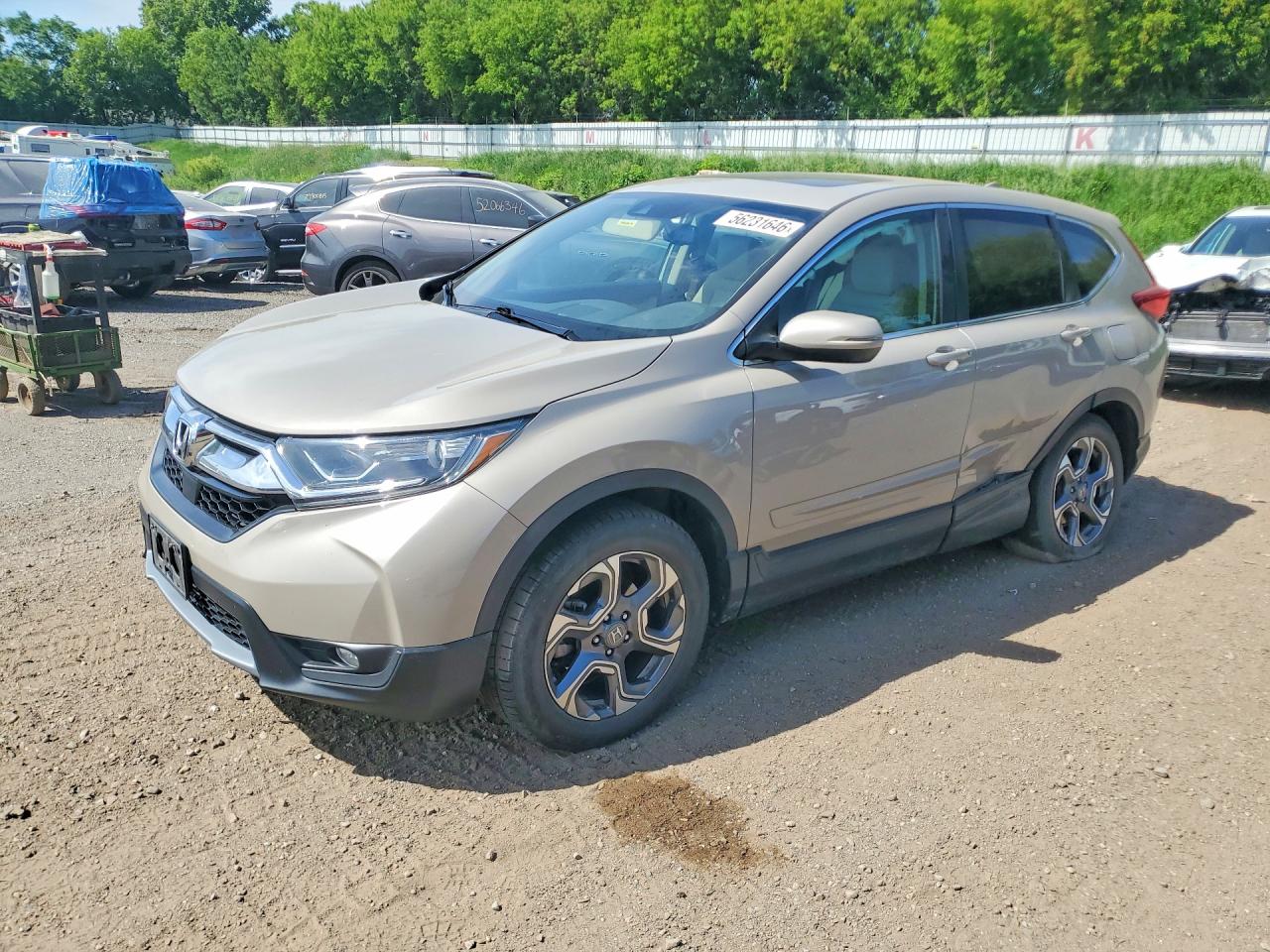 2019 HONDA CRV