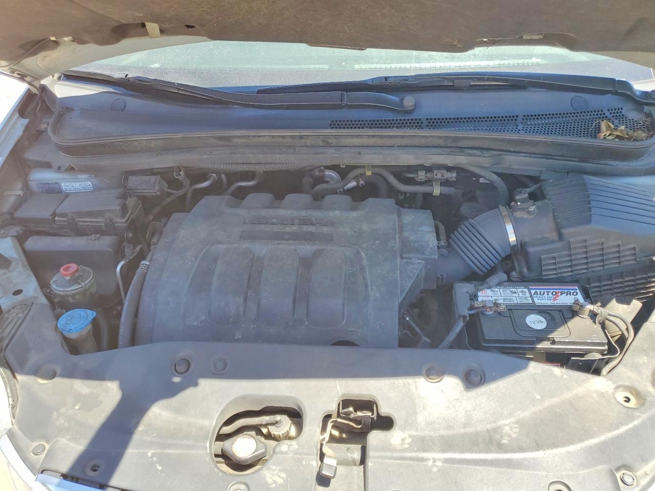 2007 HONDA All Models