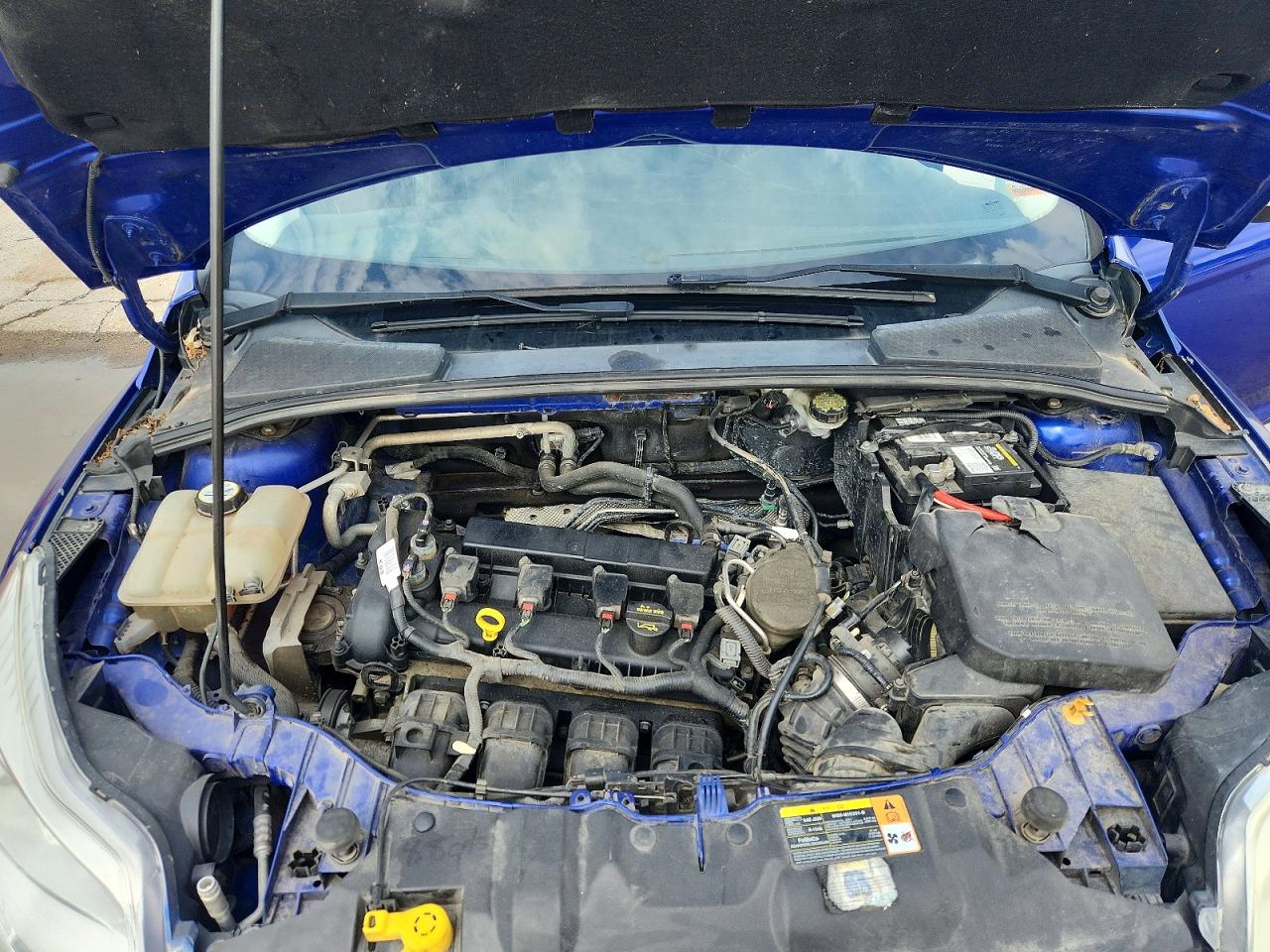 2013 FORD FOCUS