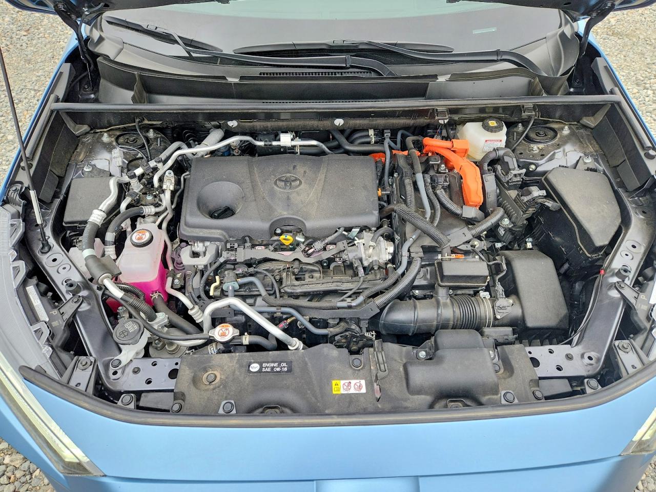 2024 TOYOTA RAV4