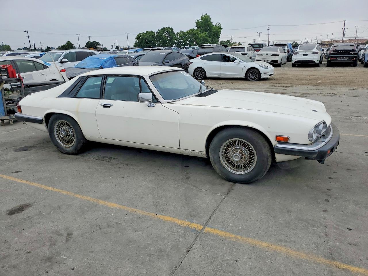 1984 JAGUAR XJS