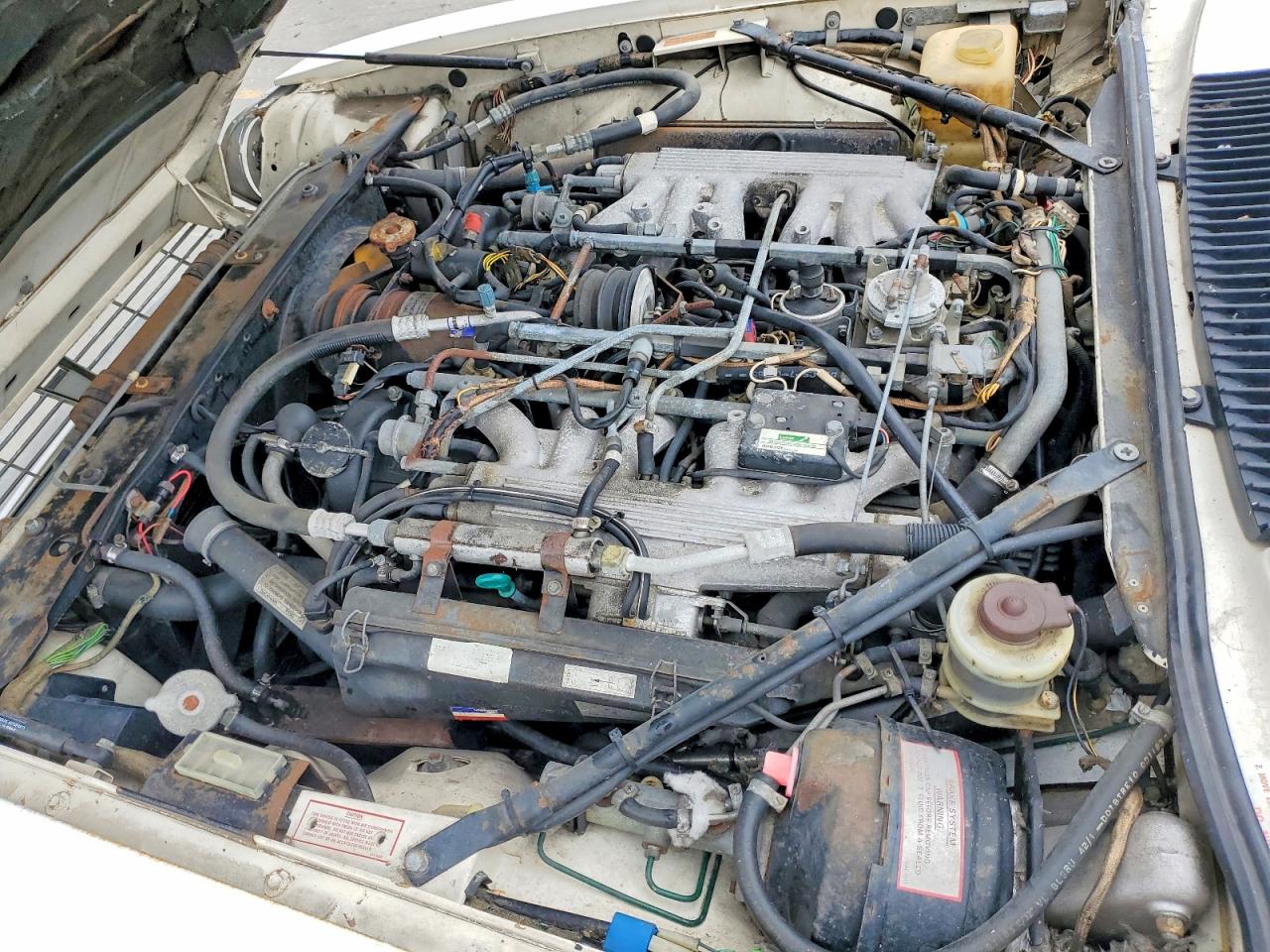 1984 JAGUAR XJS