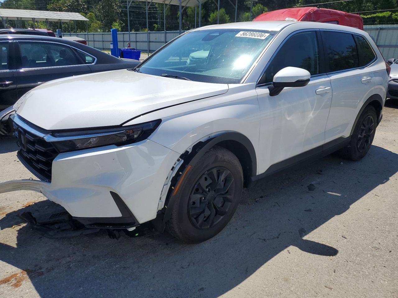 2025 HONDA CRV