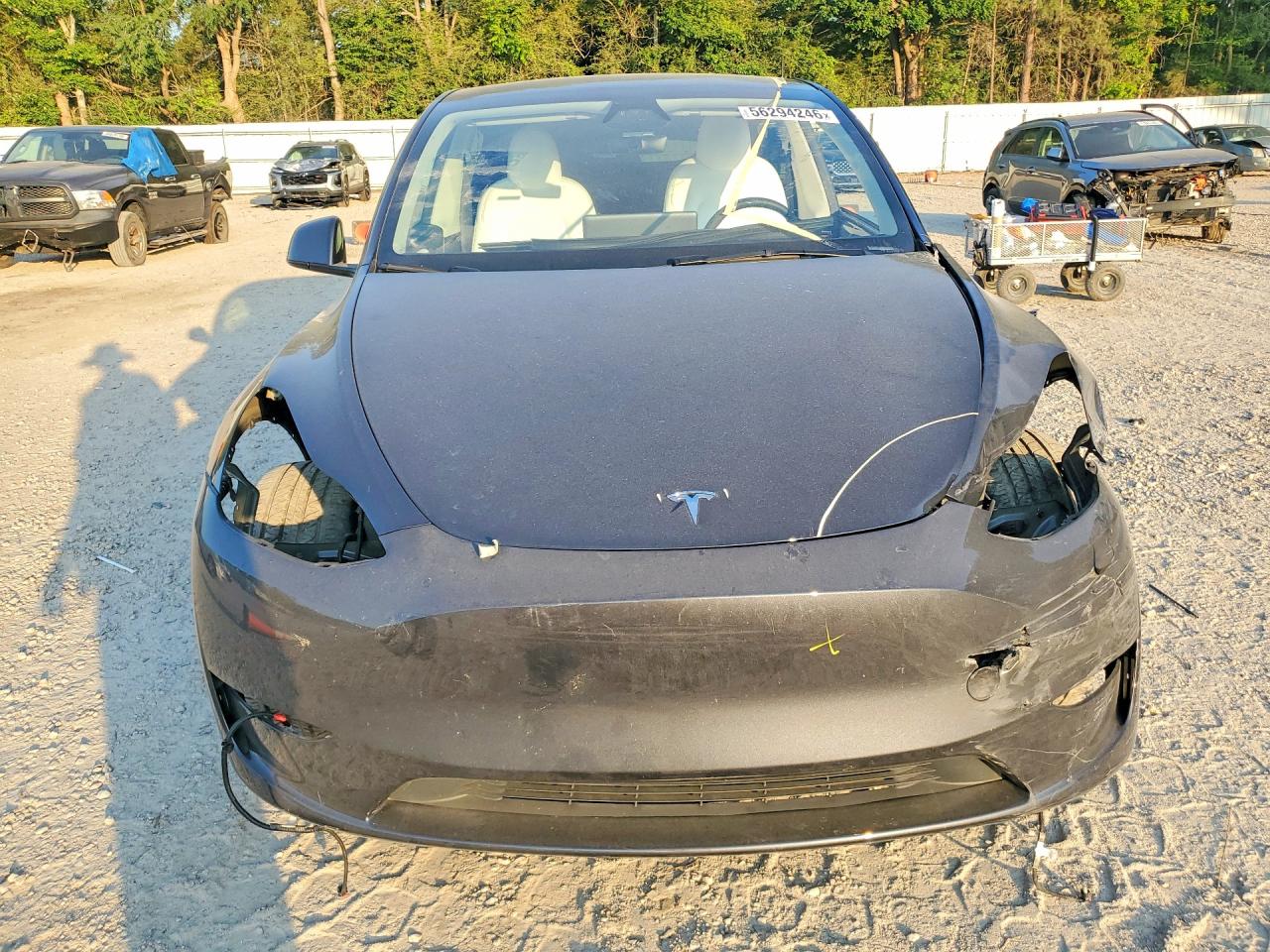 2025 TESLA MODEL Y