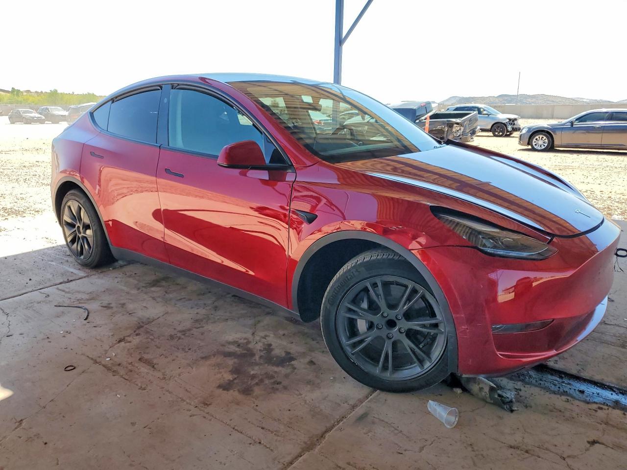 2025 TESLA MODEL Y