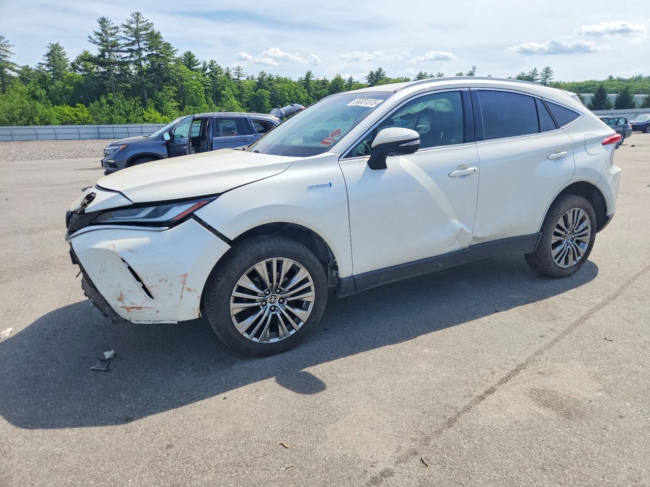 2021 TOYOTA VENZA