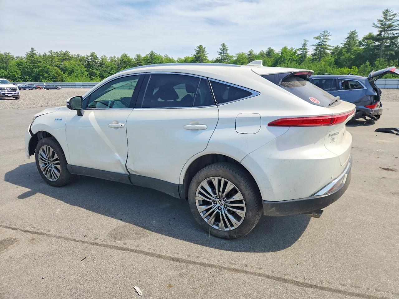 2021 TOYOTA VENZA