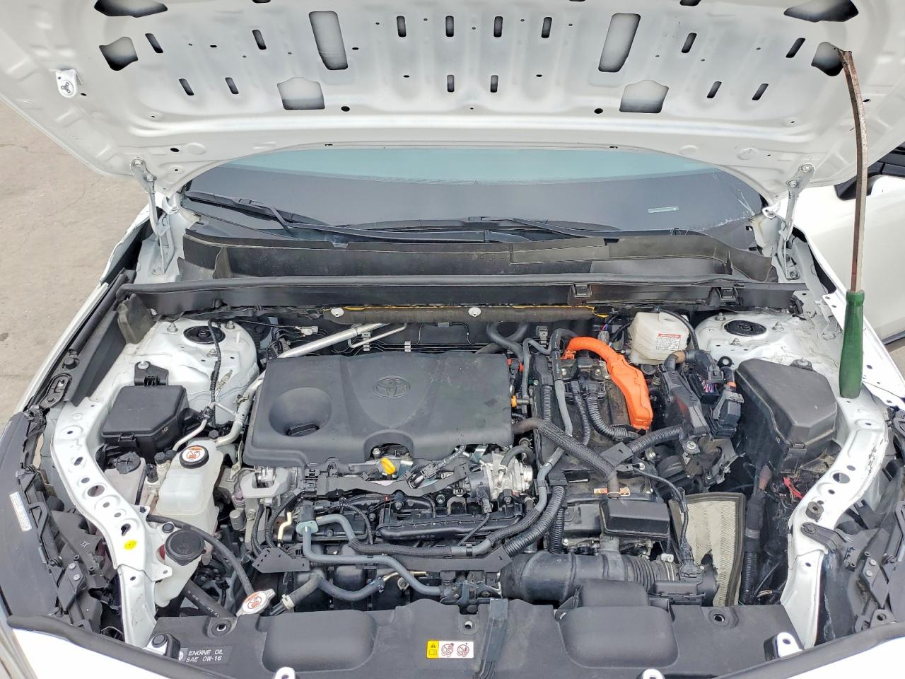 2024 TOYOTA VENZA