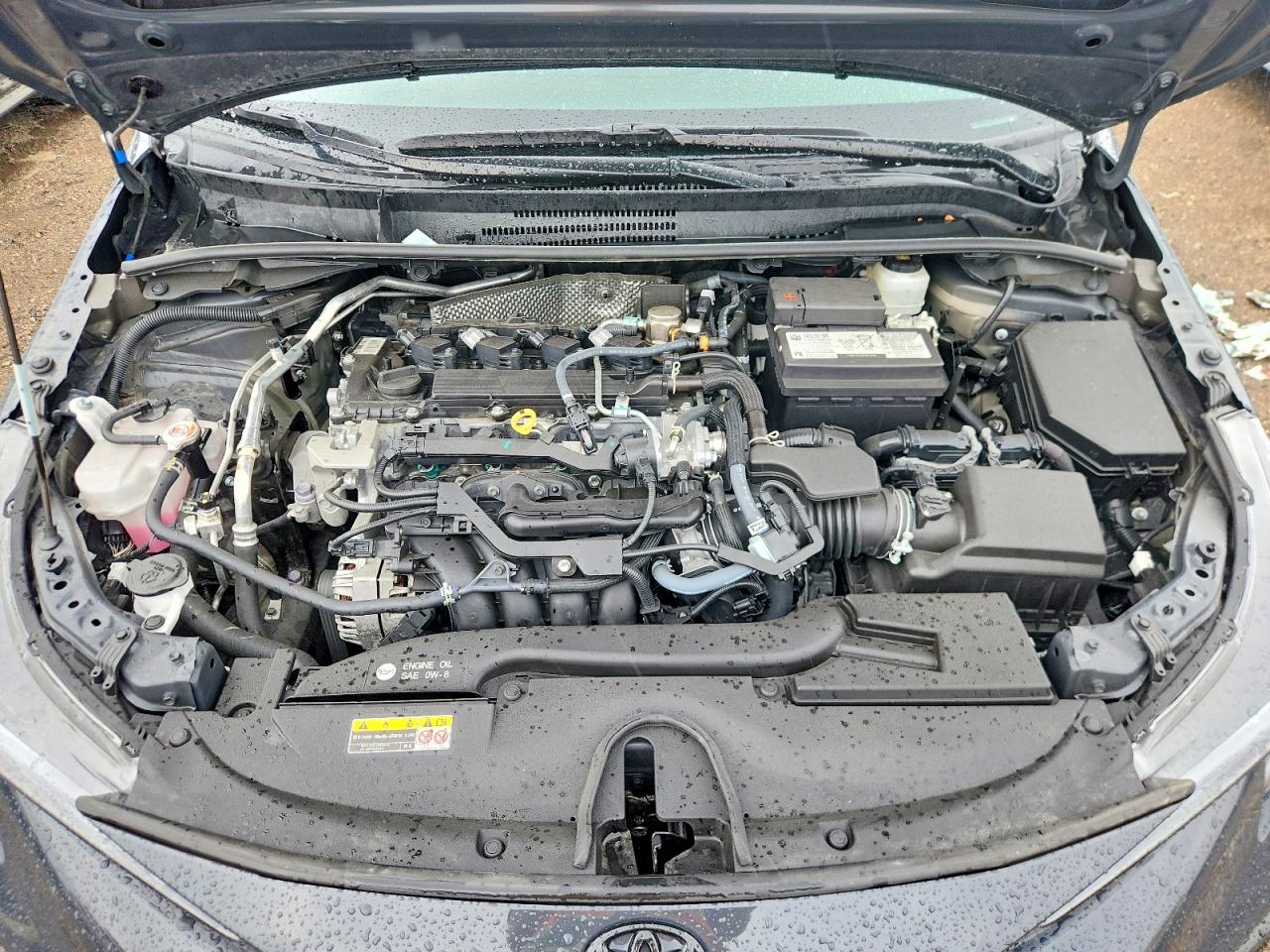 2025 TOYOTA COROLLA