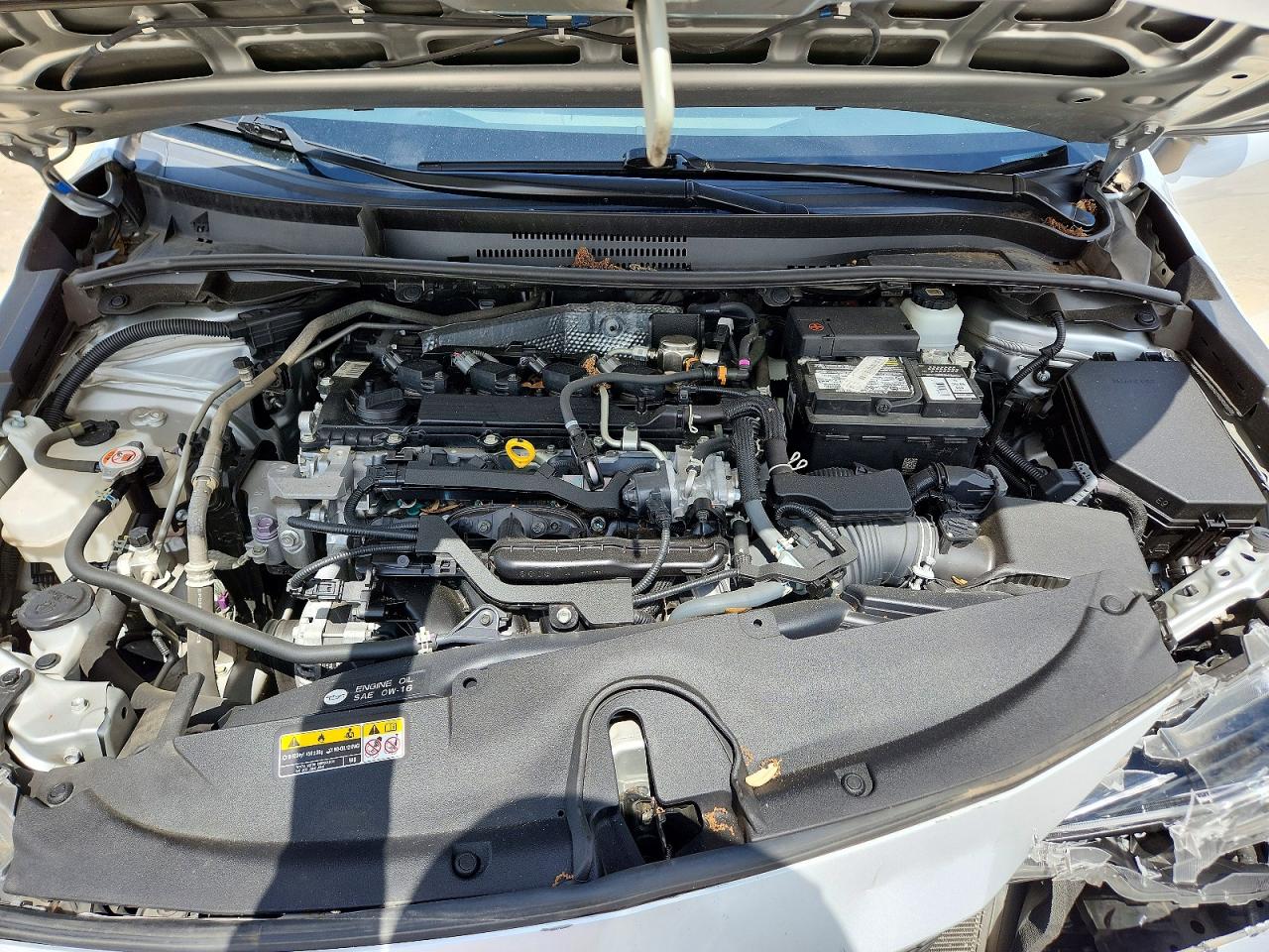 2023 TOYOTA COROLLA