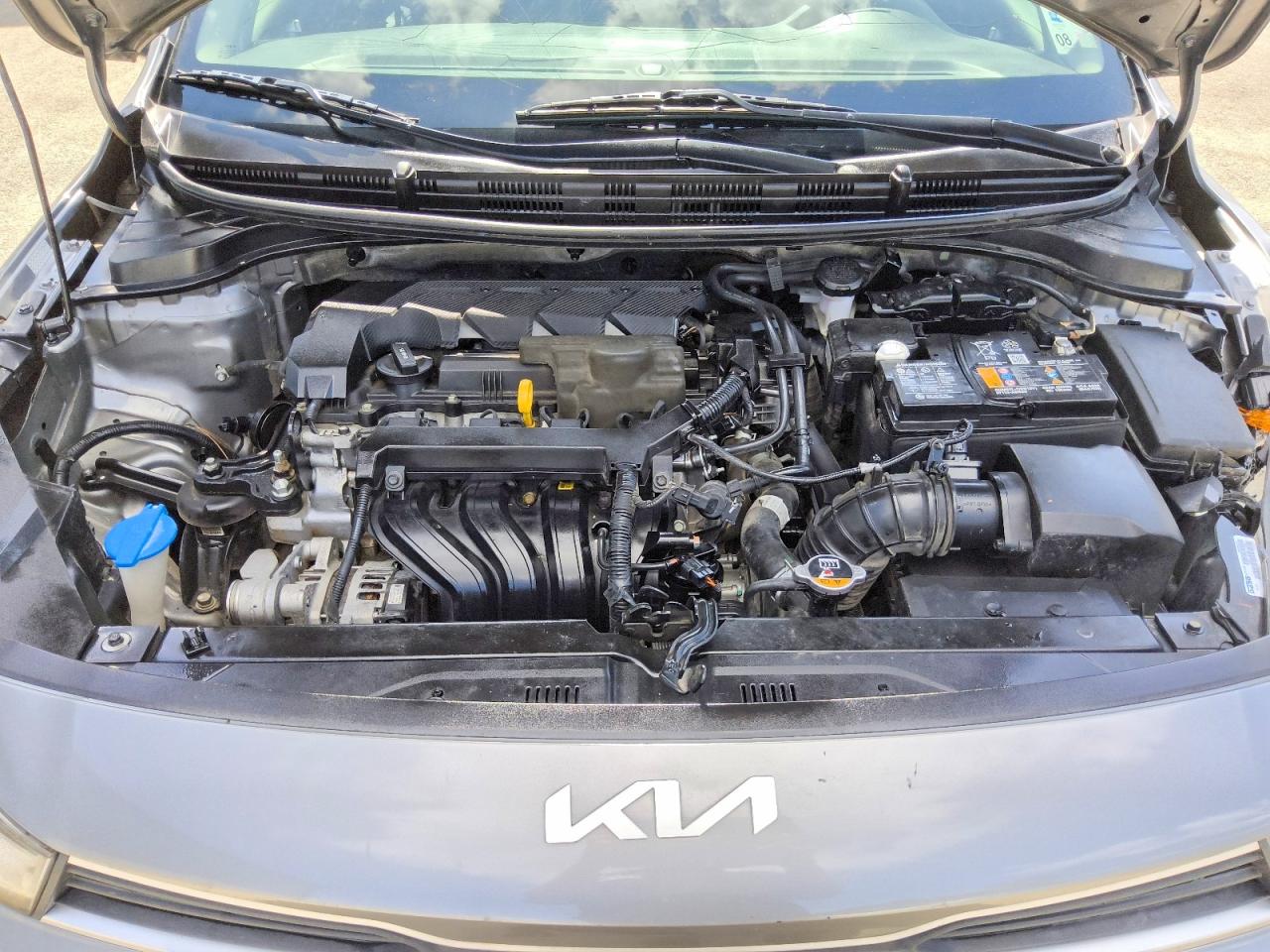 2023 KIA RIO