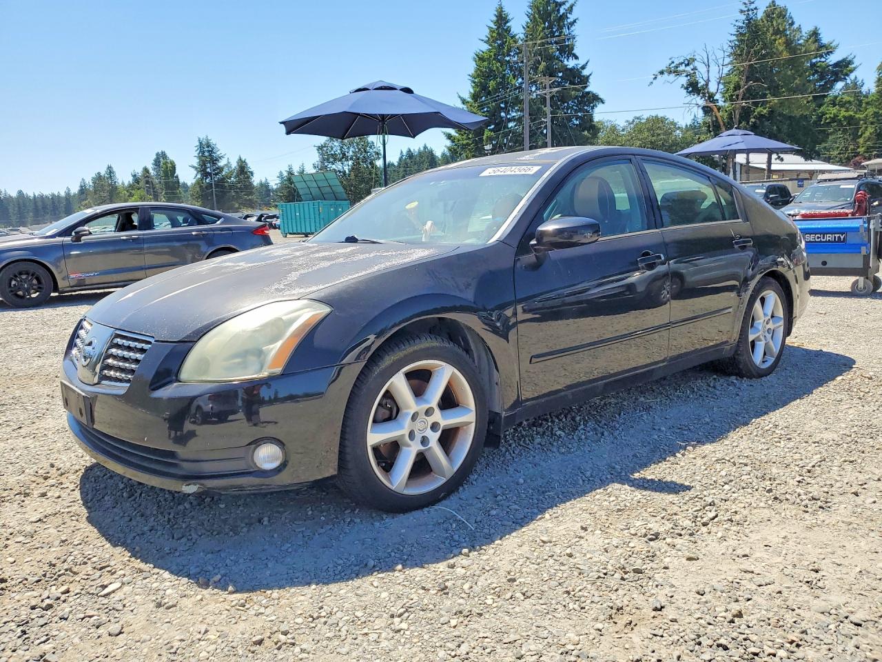 2004 NISSAN MAXIMA