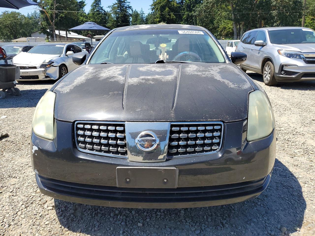 2004 NISSAN MAXIMA