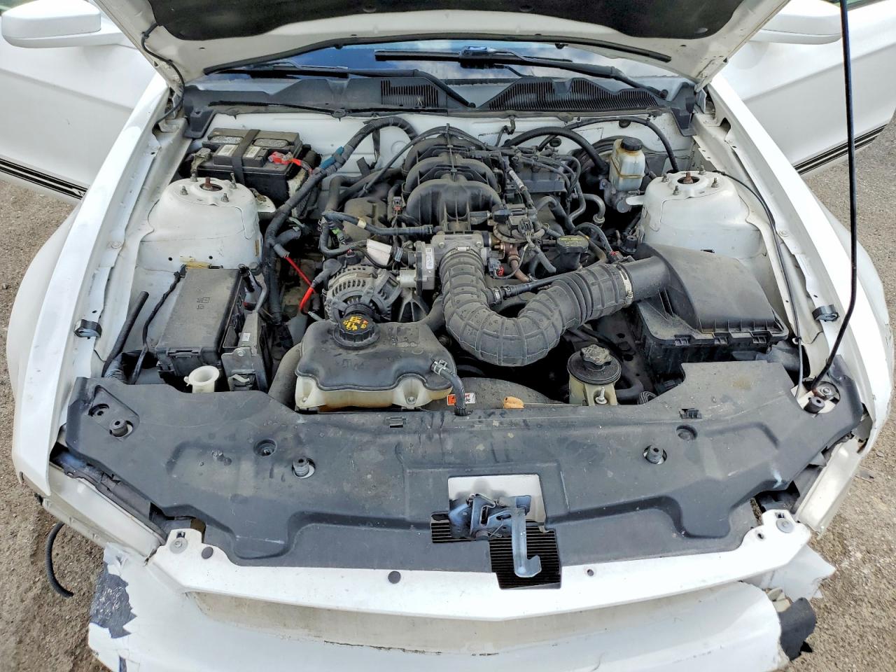 2010 FORD MUSTANG