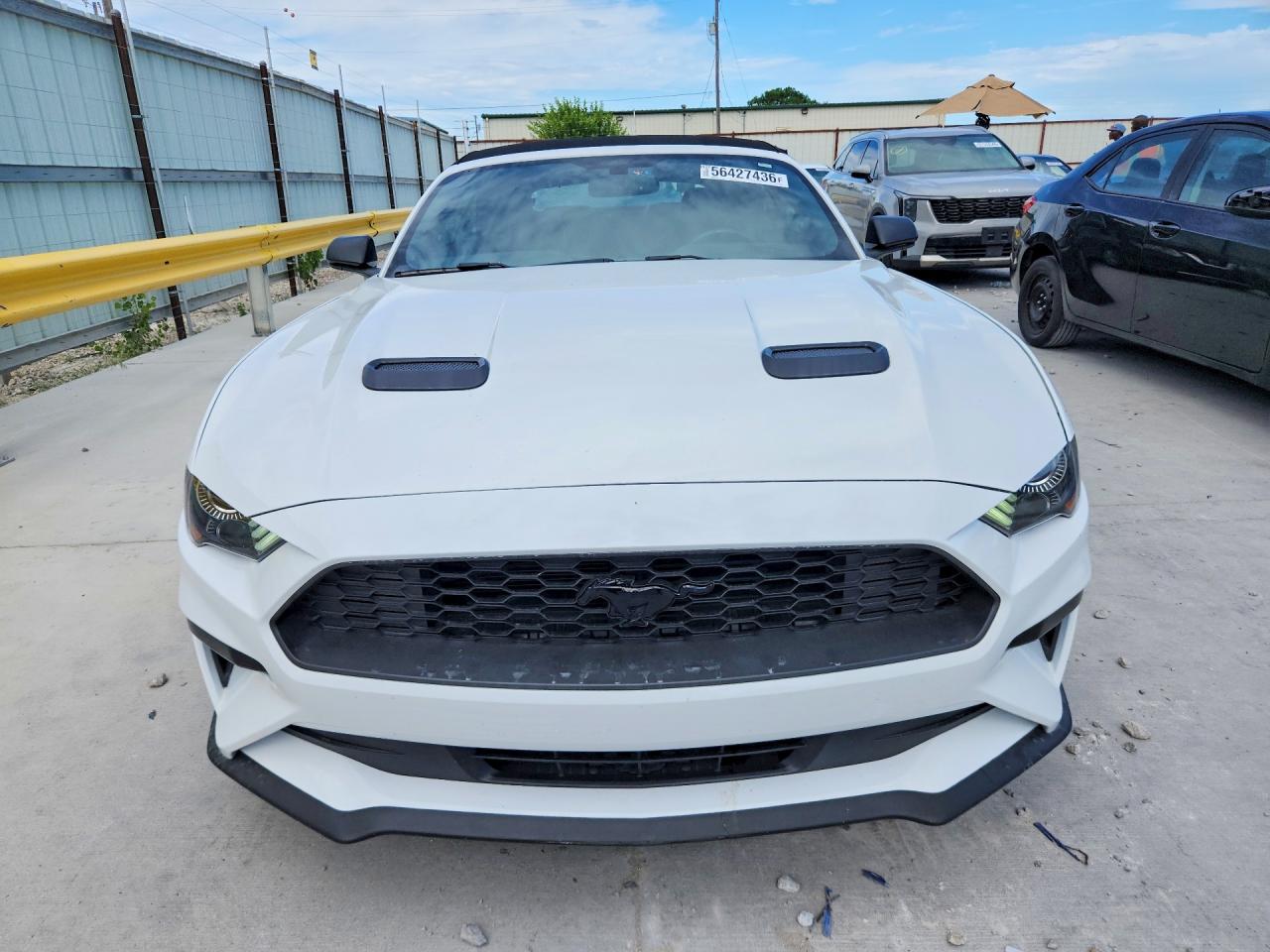 2019 FORD MUSTANG