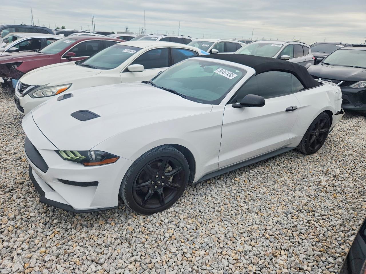 2019 FORD MUSTANG