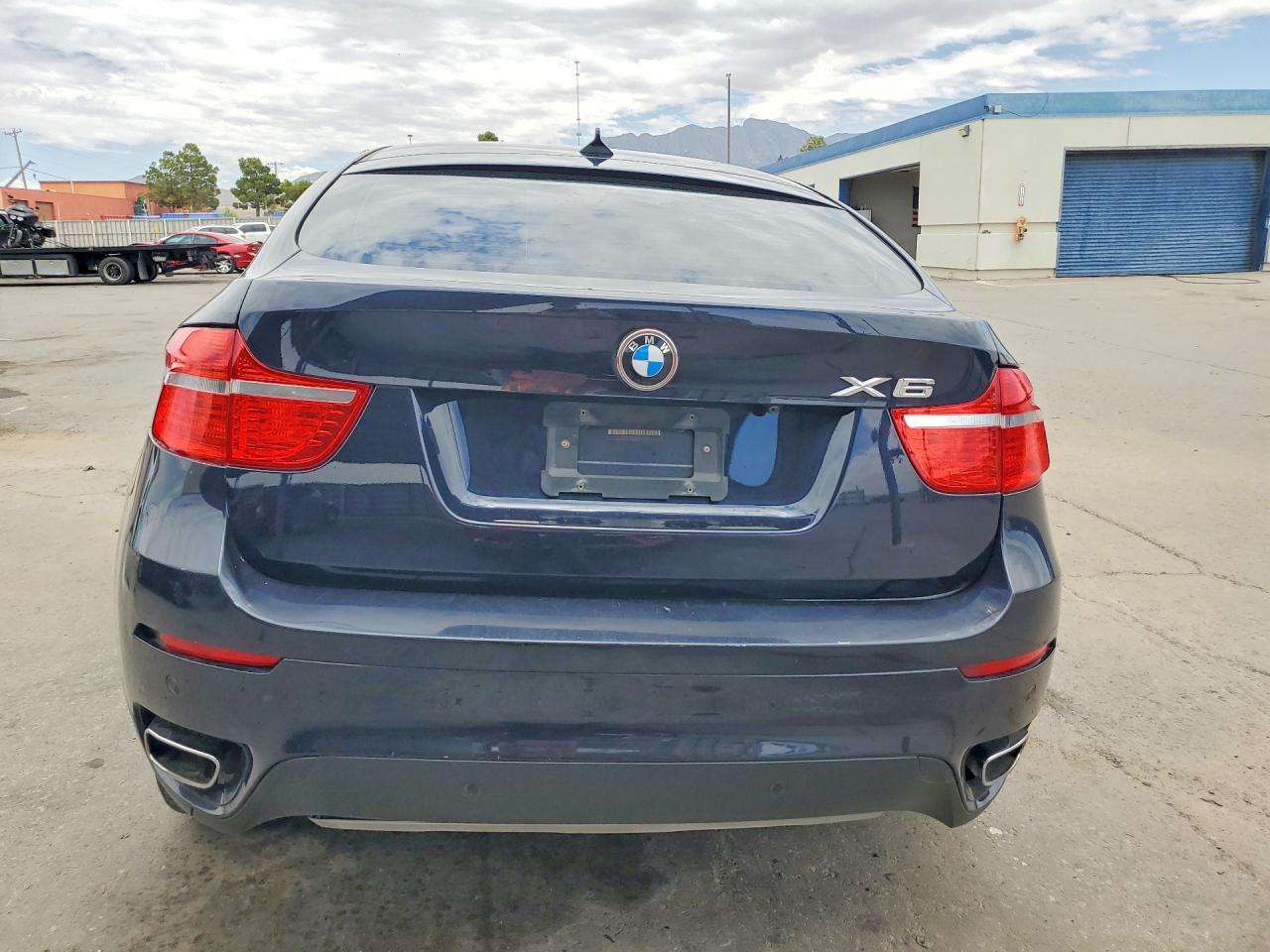 2009 BMW X6