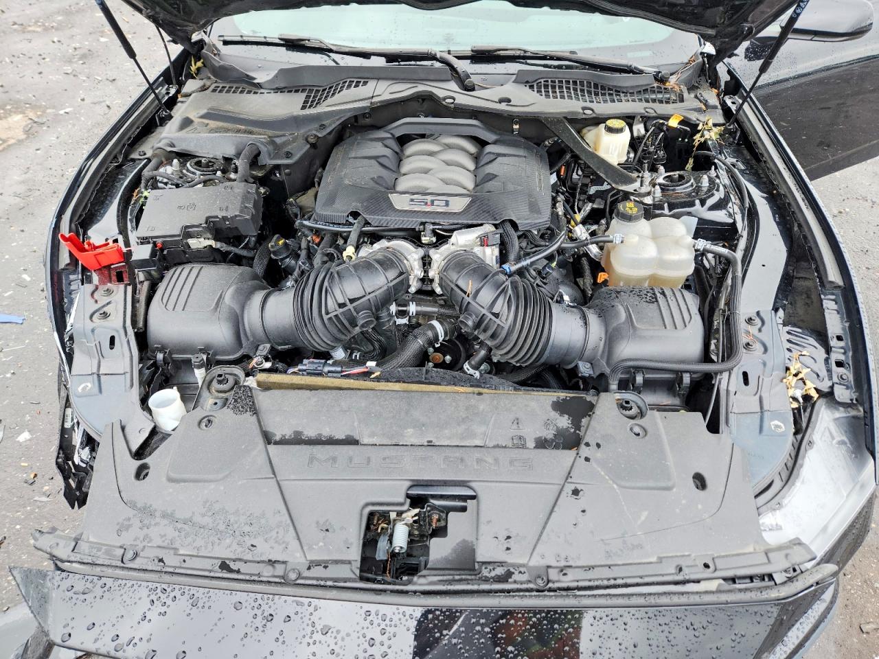 2024 FORD MUSTANG