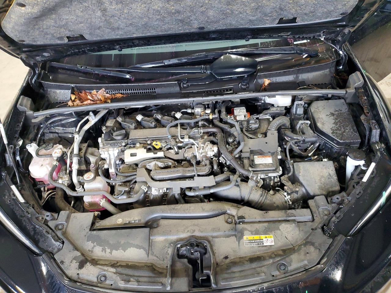 2023 TOYOTA PRIUS