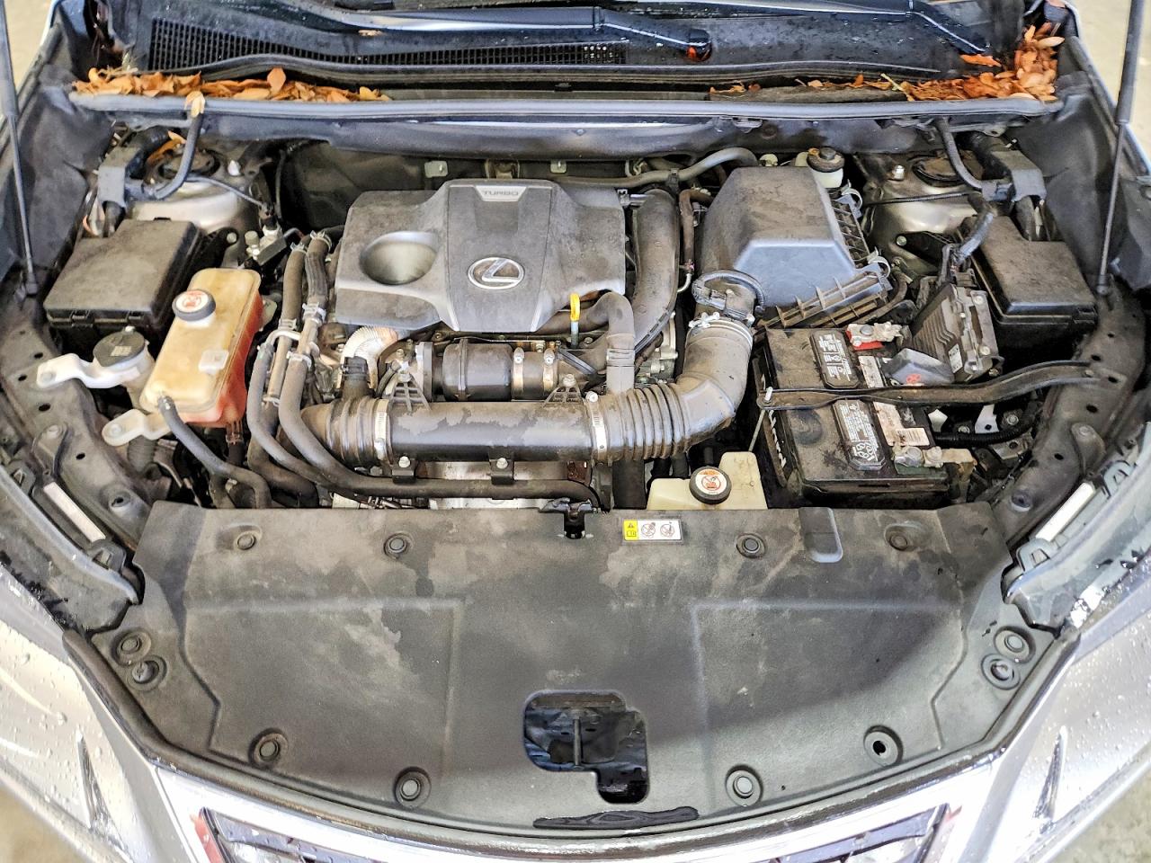 2019 LEXUS NX
