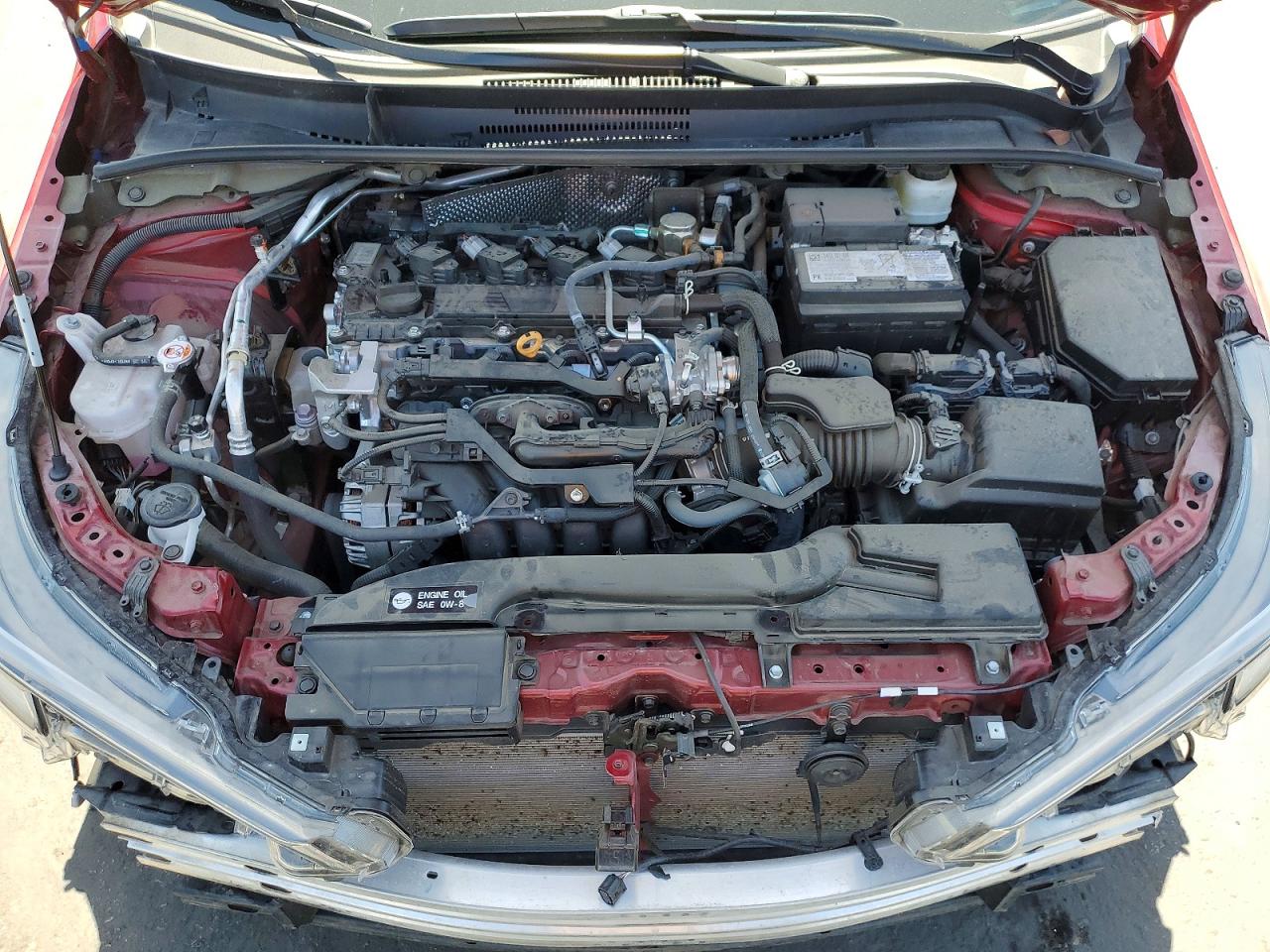 2025 TOYOTA COROLLA