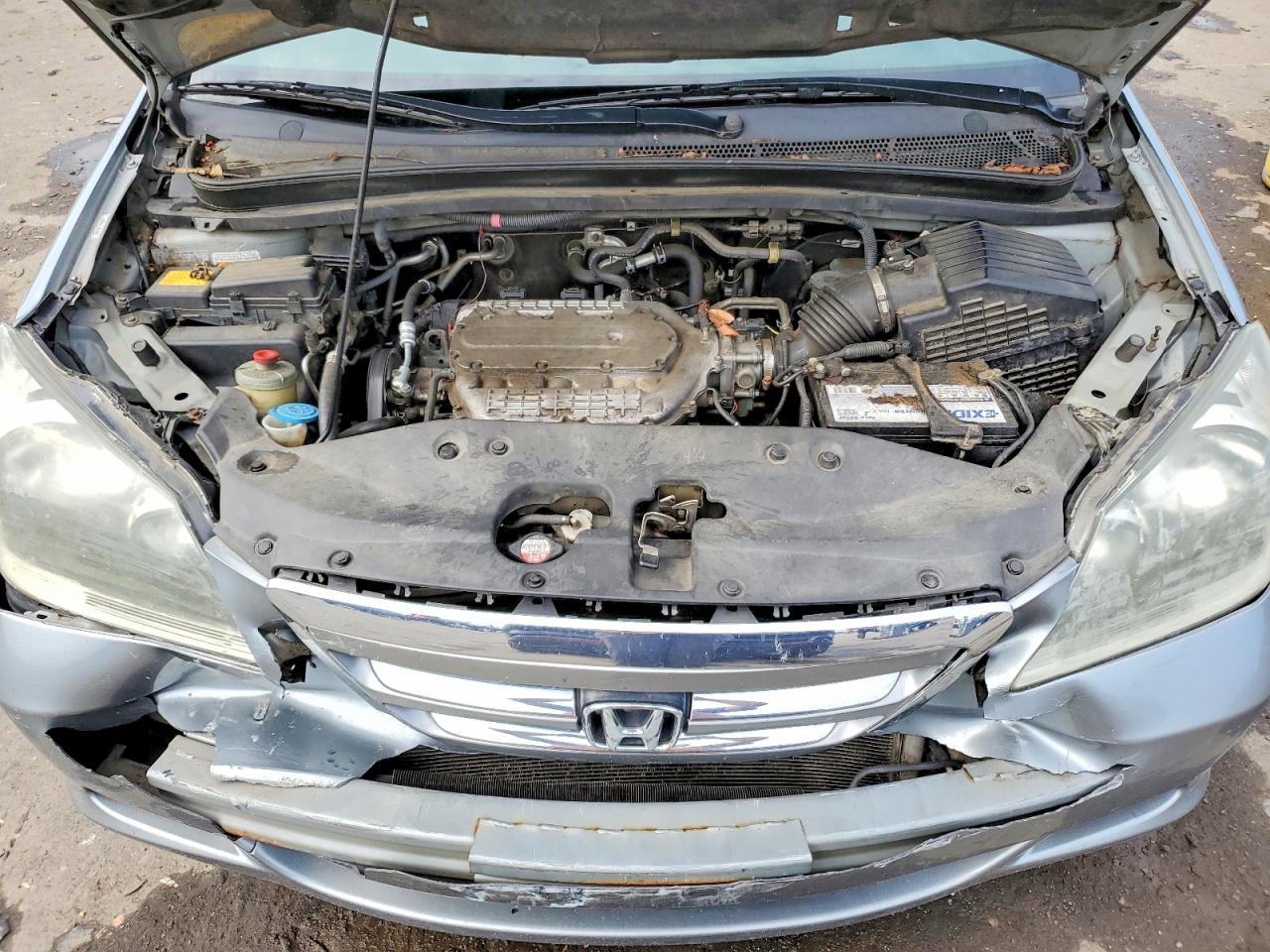 2007 HONDA All Models