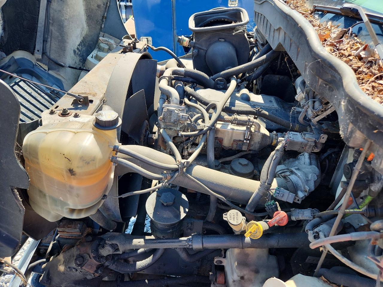 2010 INTERNATIONAL 4000 SERIE