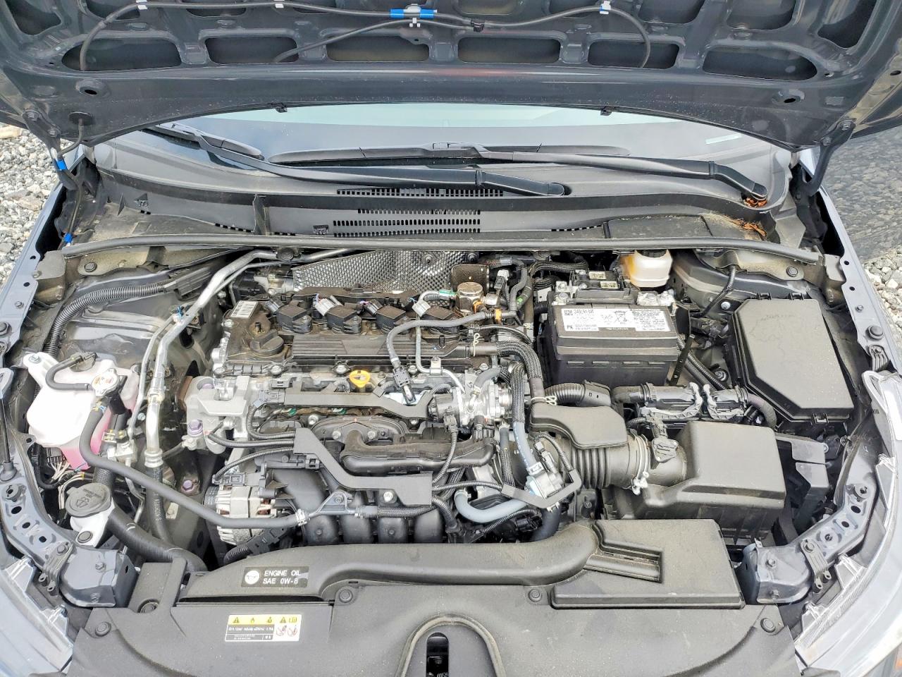 2026 TOYOTA COROLLA