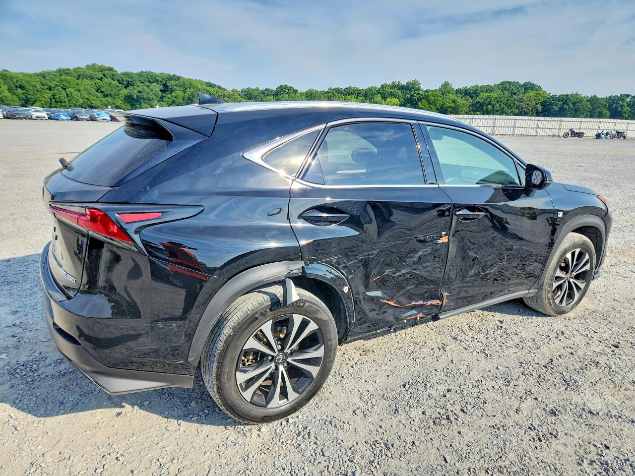 2020 LEXUS NX