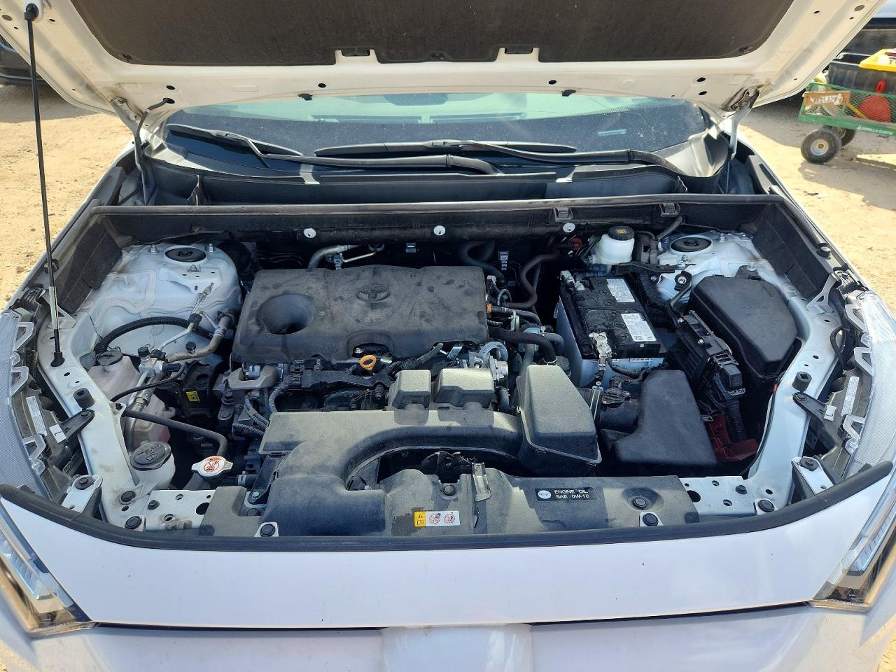 2024 TOYOTA RAV4