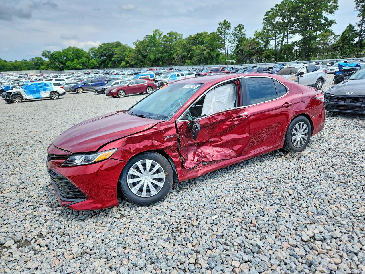 2019 TOYOTA CAMRY