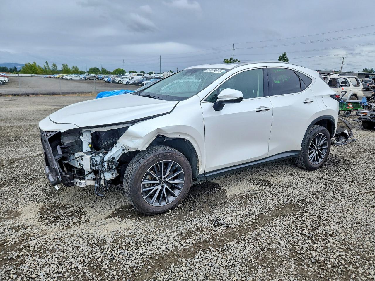 2023 LEXUS NX