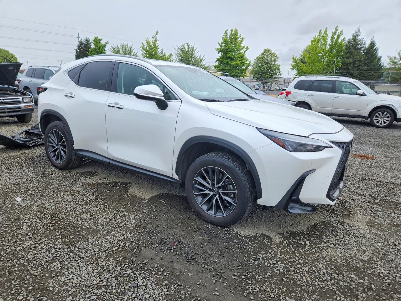 2023 LEXUS NX
