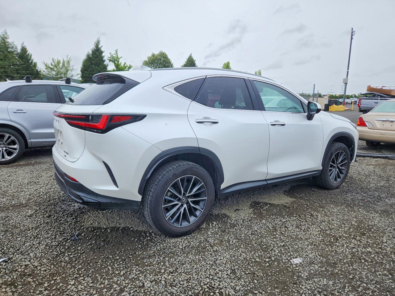 2023 LEXUS NX