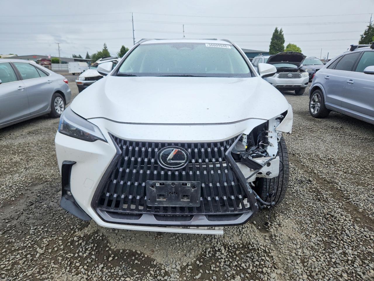 2023 LEXUS NX